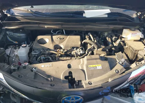 2025 Toyota Sienna Xle/Xle 8 Passenger z USA, uszkodzony, nr VIN 5TDYRKEC9SS238565